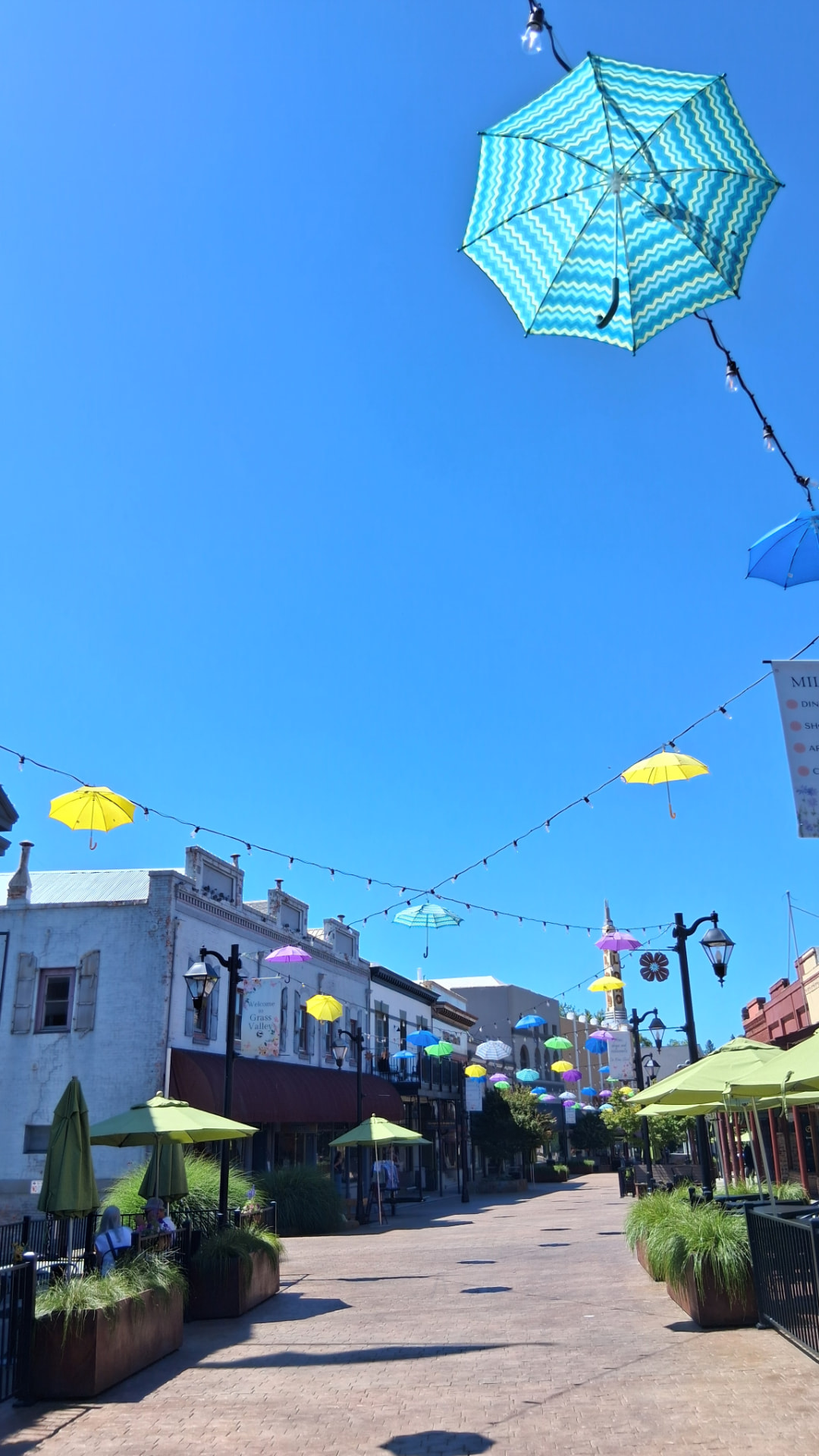 Colorful umbrellas suspended above a city street